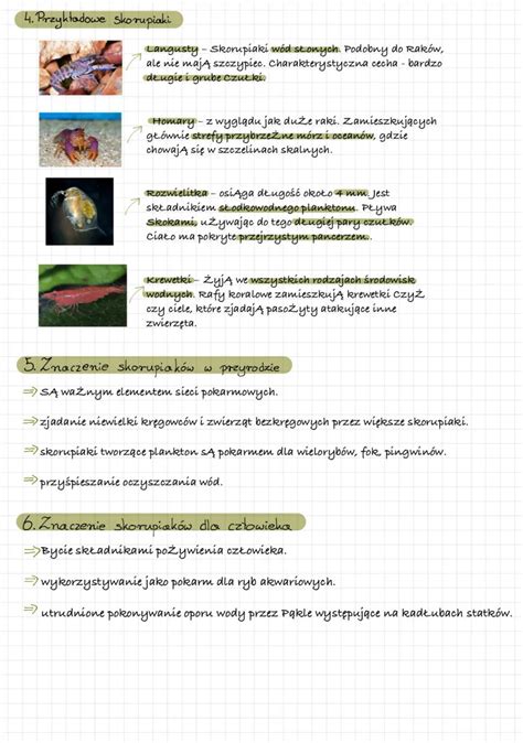 establiszment znaczenie.